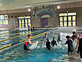 Img_0157 Img_0157