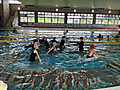 Img_0161 Img_0161