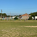 Img_2431 Img_2431